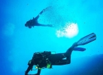 Diving Center Costa Paradiso