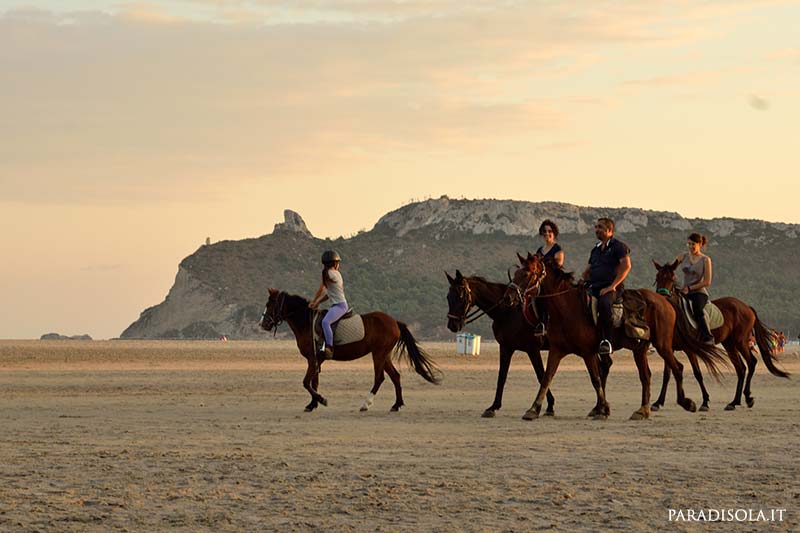 Cose da fare in Sardegna: Passeggiare a cavallo su una spiaggia al tramonto.