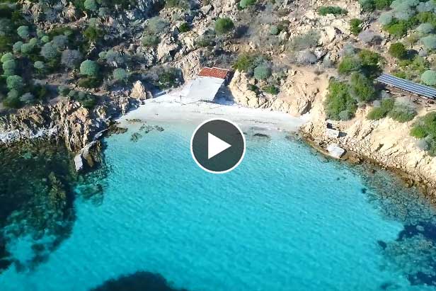 Video Asinara