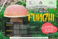 mostra-funghi-villaputzu